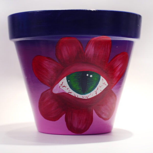 Eye Flower Hand Painted Clay Pot - Imagen 6
