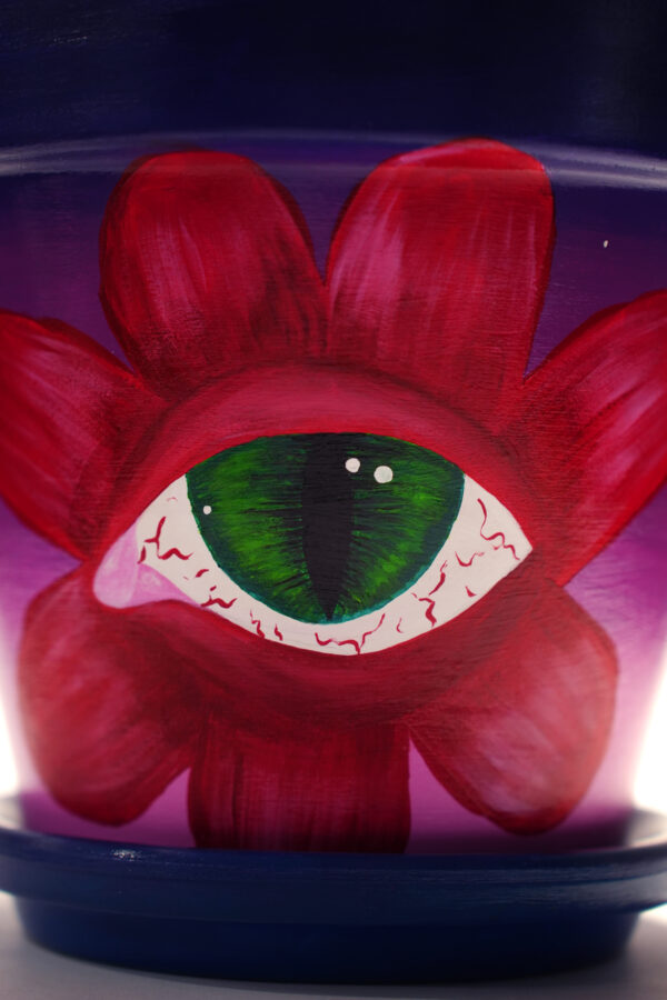 Eye Flower Hand Painted Clay Pot - Imagen 8