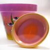 Eye Branches Hand Painted Clay Pot - Imagen 3